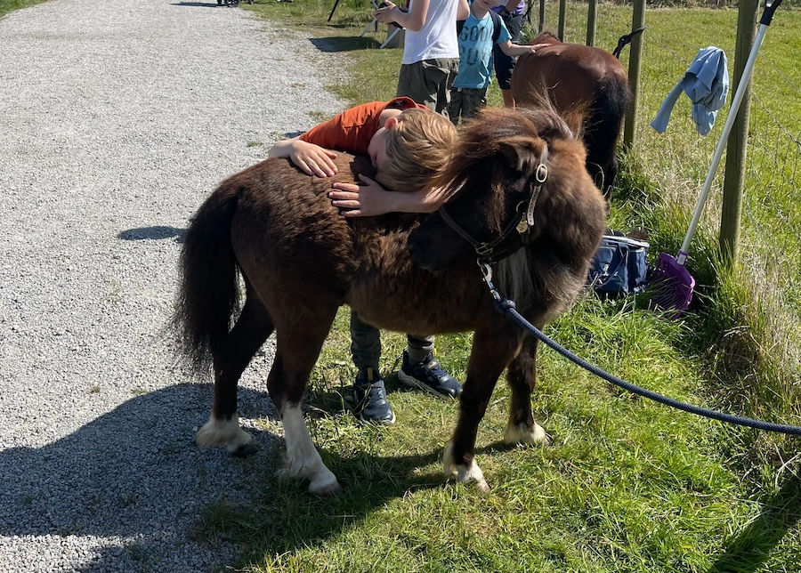 Therapy pony building a bond with a child